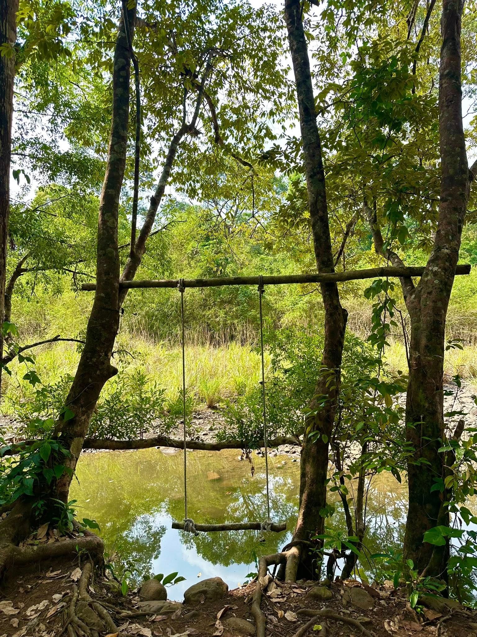 Trekking VQG Bù Gia Mập, chạm tới vẻ đẹp nguyên sơ của rừng già - 11