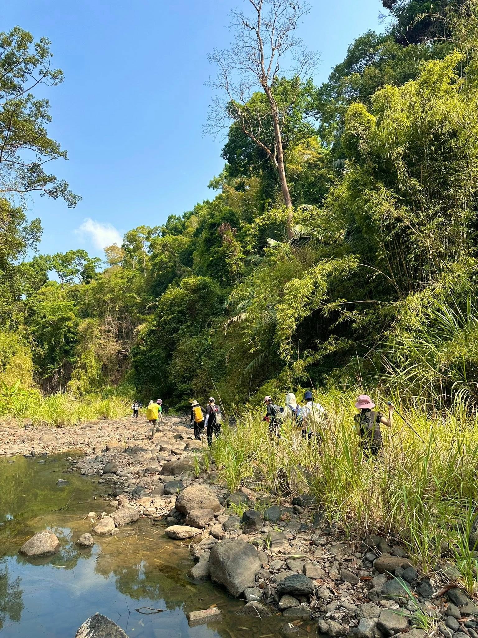 Trekking VQG Bù Gia Mập, chạm tới vẻ đẹp nguyên sơ của rừng già - 2