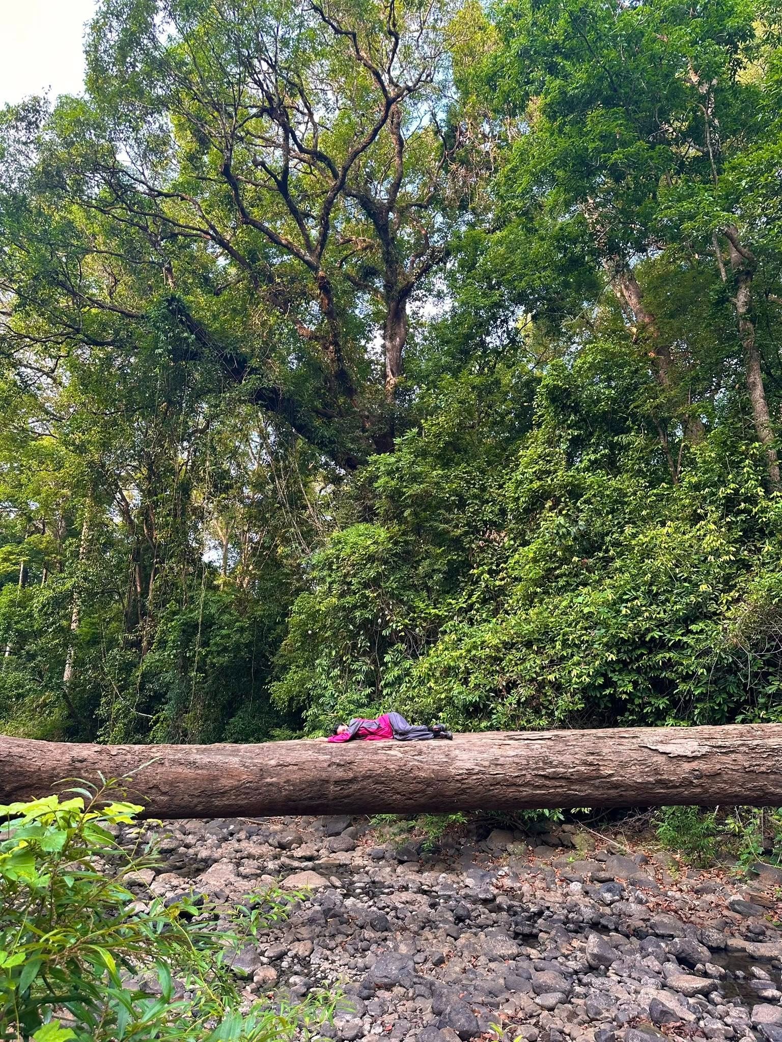 Trekking VQG Bù Gia Mập, chạm tới vẻ đẹp nguyên sơ của rừng già - 14