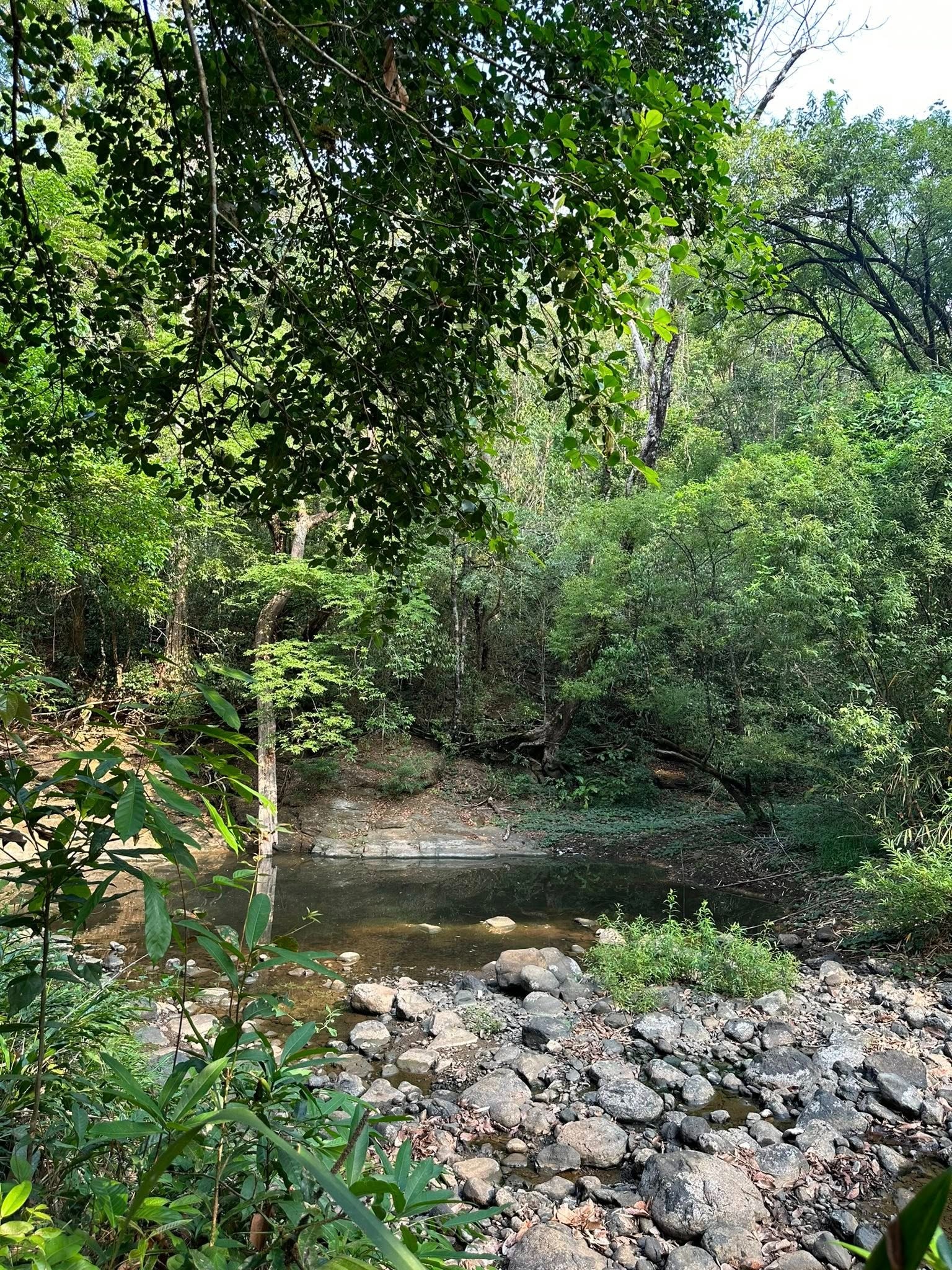 Trekking VQG Bù Gia Mập, chạm tới vẻ đẹp nguyên sơ của rừng già - 16