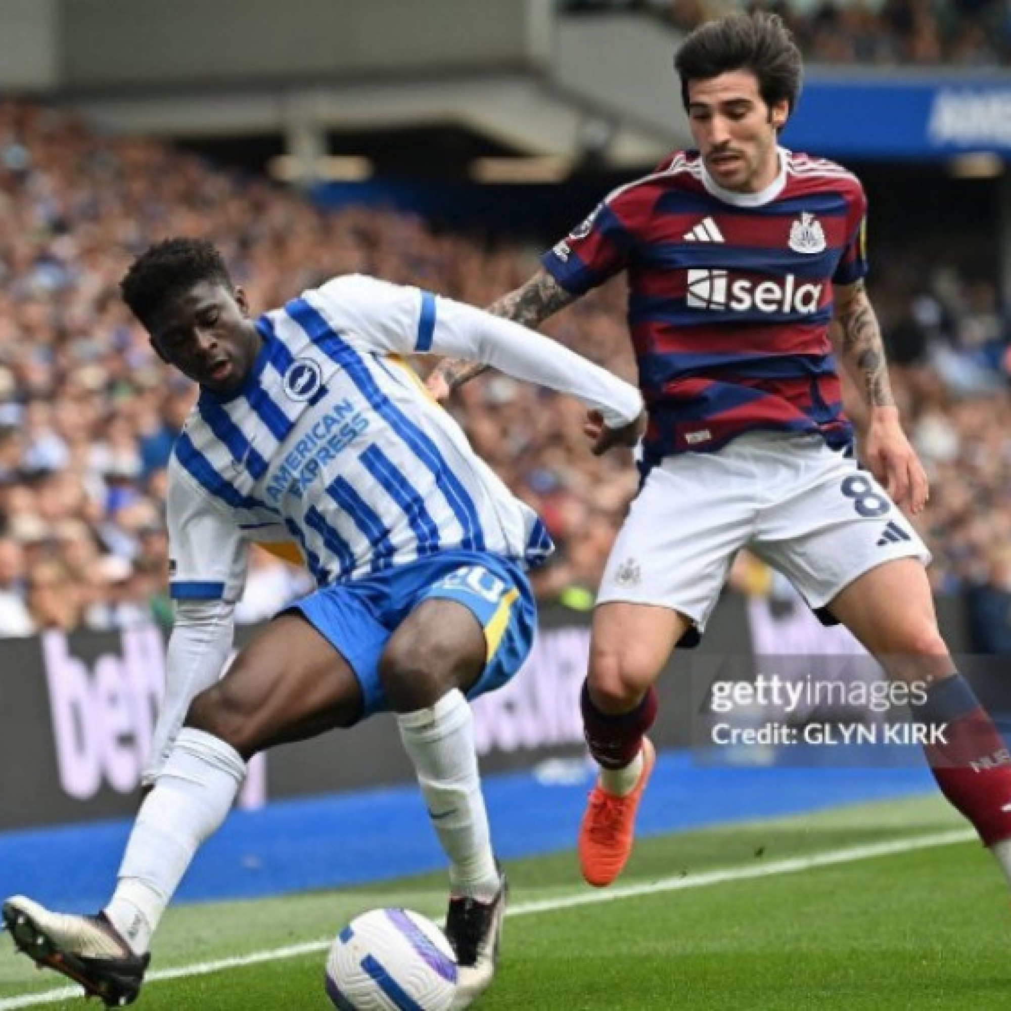 - Video bóng đá Brighton - Newcastle: Thoát hiểm cuối trận, lỡ dịp vào top 3 (Ngoại hạng Anh)