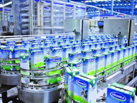  - Vinamilk: Lợi nhuận quý I/2025 giảm mạnh, thị trường nội địa tiếp tục là điểm nghẽn