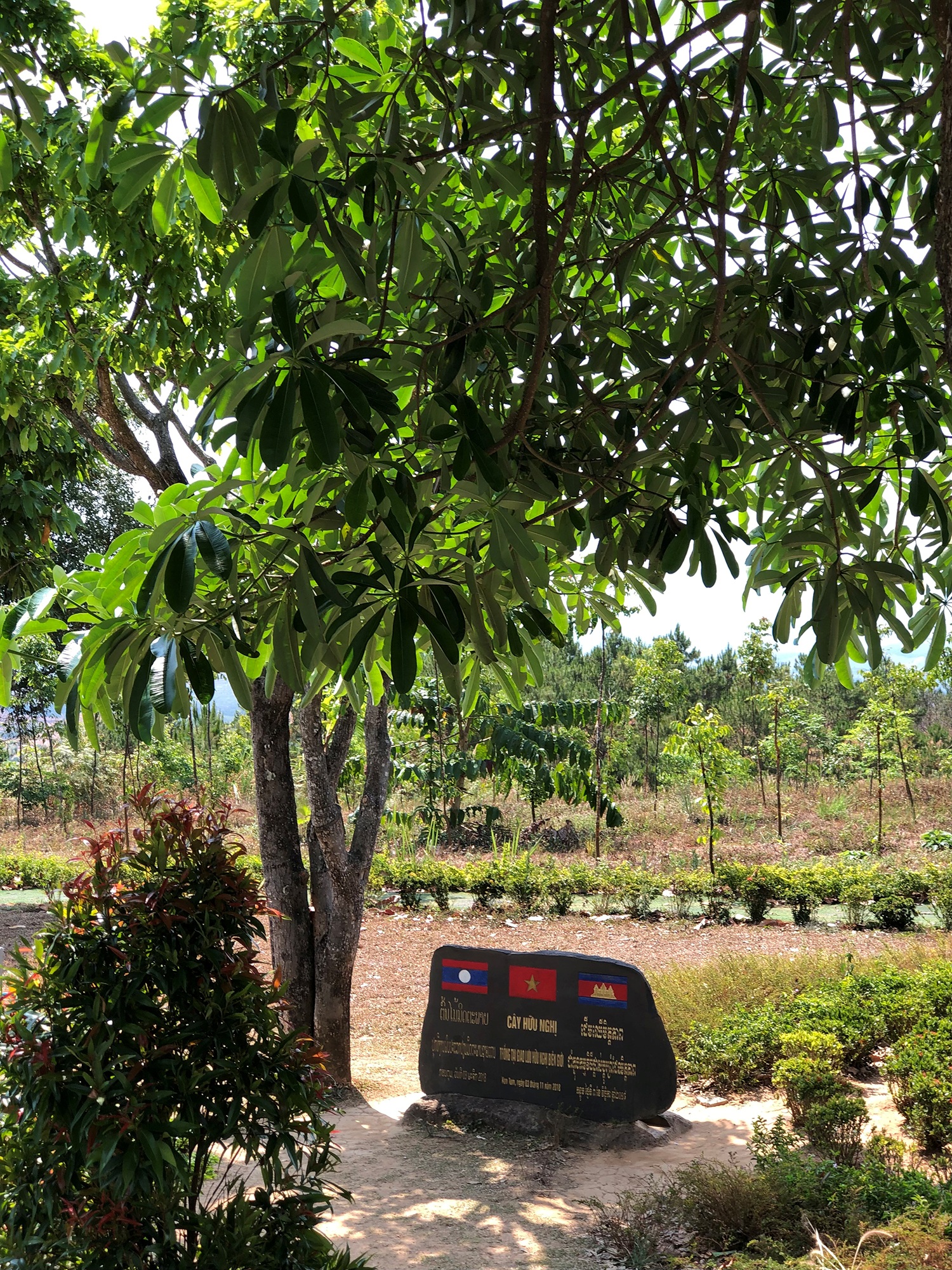 Tìm về nơi 'một con gà gáy, cả ba nước đều nghe' - 11