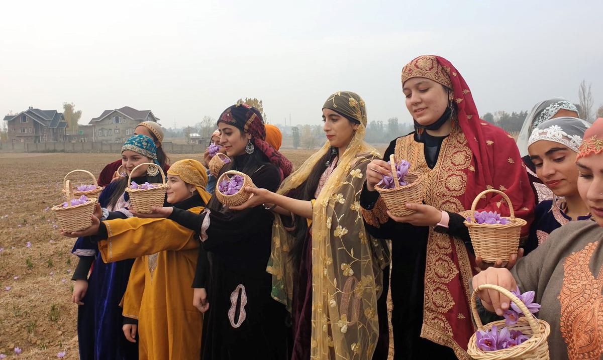 vang do: cau chuyen ve nhuy hoa nghe tay kashmir - 6