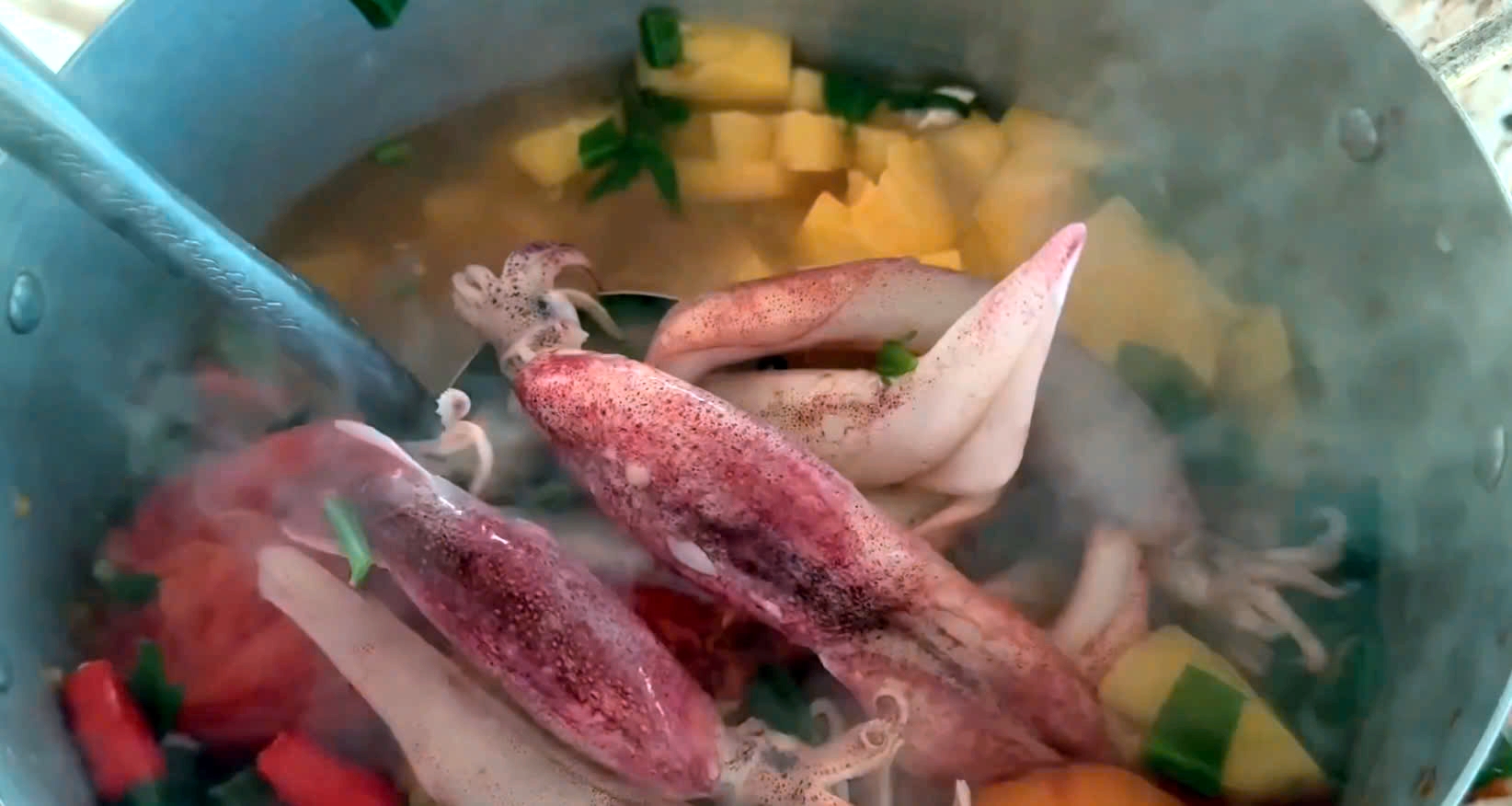 Ghé Phú Quý, thả câu bắt cá ngon nấu phớt - 12
