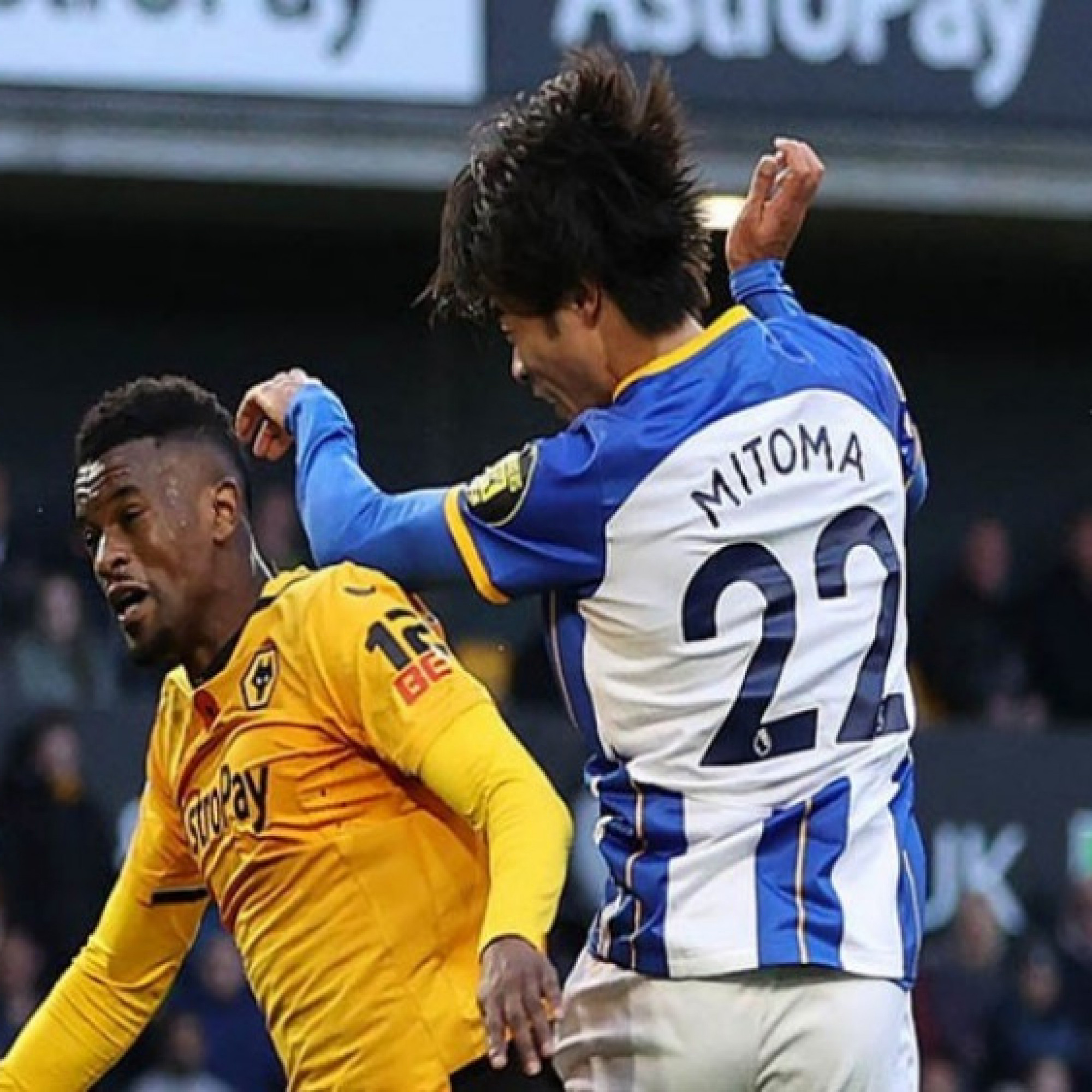  - Trực tiếp bóng đá Wolves - Brighton: Chờ màn so tài tưng bừng (Ngoại hạng Anh)