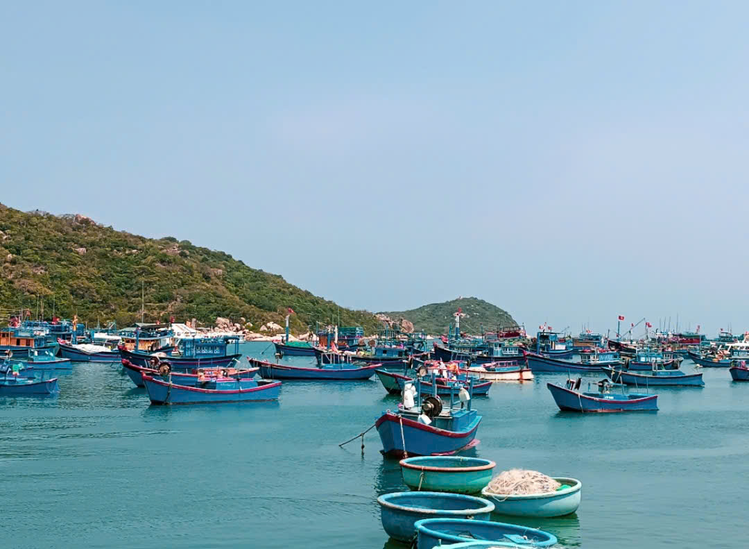 Vi vu khám phá nét đẹp bốn tỉnh duyên hải miền Trung - 10