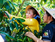 Nông thôn chuyển mình: Du lịch xanh và bài toán phát triển bền vững