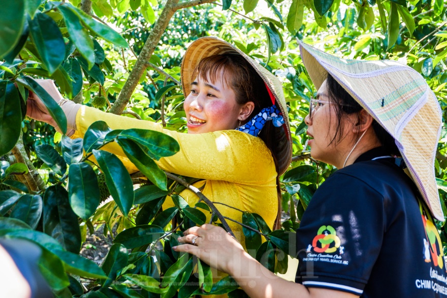 Nông thôn chuyển mình: Du lịch xanh và bài toán phát triển bền vững - 3