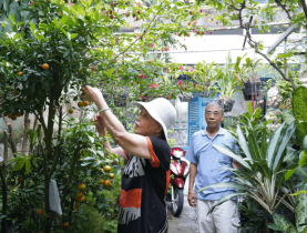 Sự kiện đặc sắc - Khu vườn giữa phố: Nơi 2 vợ chồng giữ lại mùa xanh của đời mình