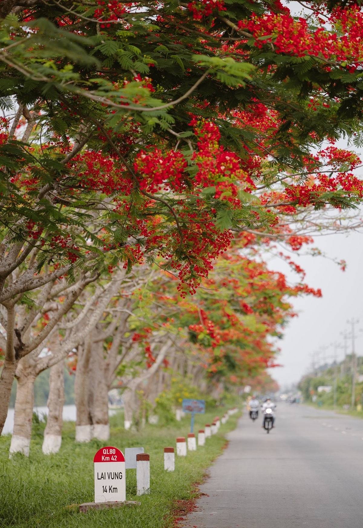 nguoi tre 'san' ky uc, giu lai nhung mua he thanh xuan - 13