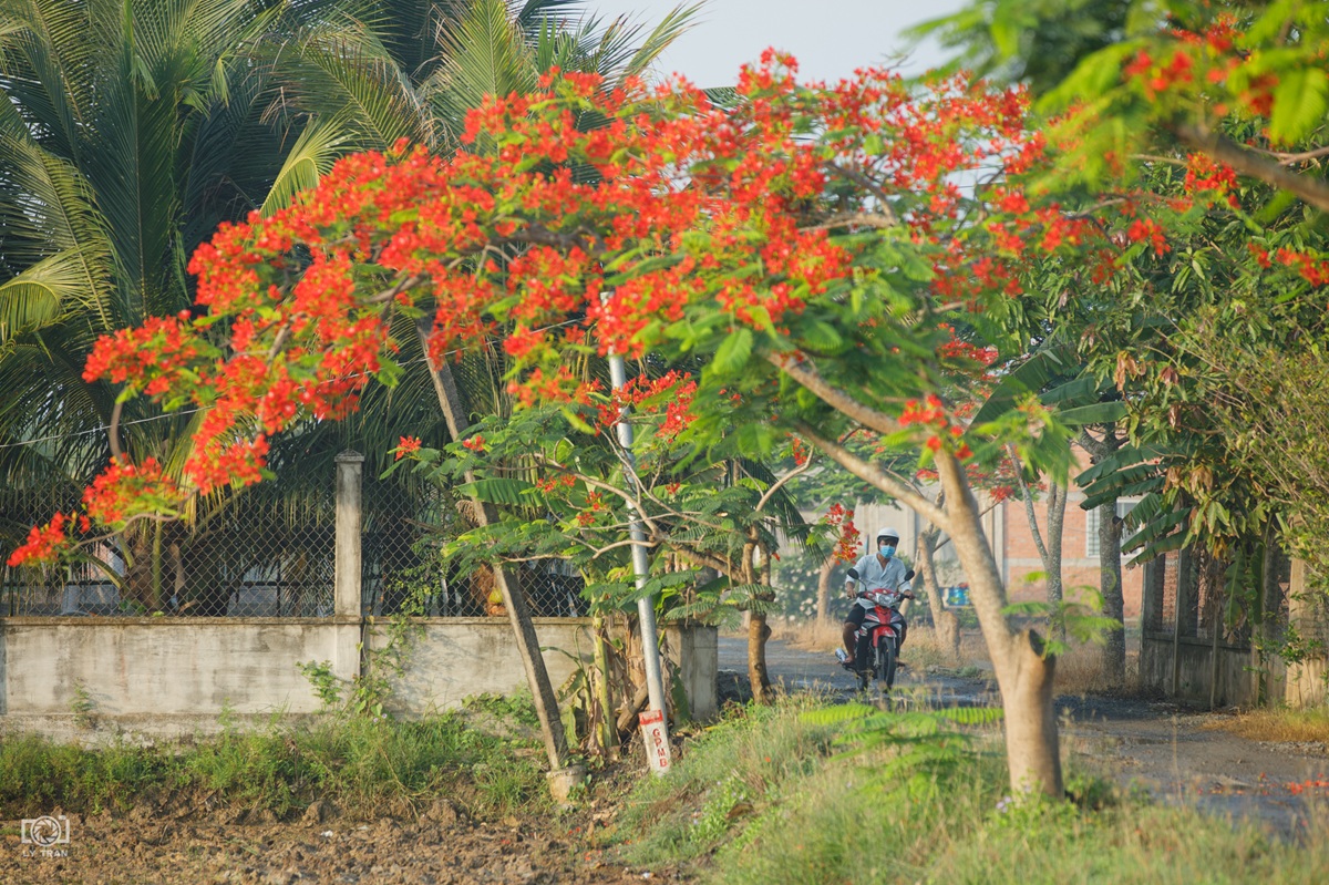 nguoi tre 'san' ky uc, giu lai nhung mua he thanh xuan - 8