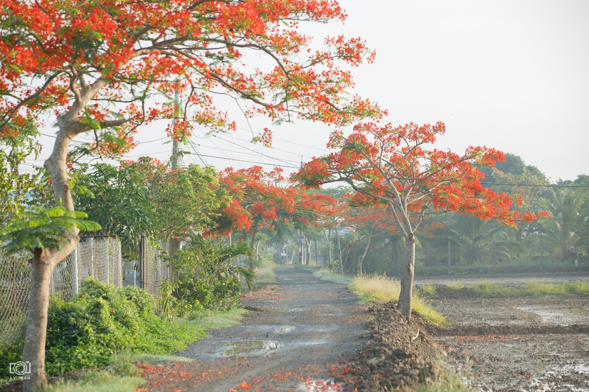 nguoi tre 'san' ky uc, giu lai nhung mua he thanh xuan - 9