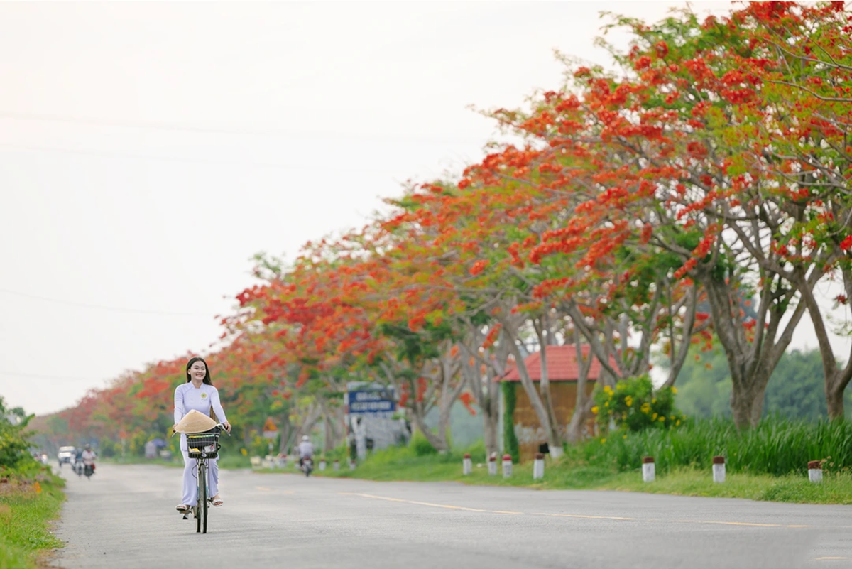nguoi tre 'san' ky uc, giu lai nhung mua he thanh xuan - 16
