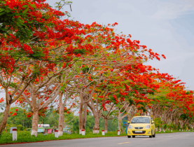  - Người trẻ 'săn' ký ức, giữ lại những mùa hè thanh xuân