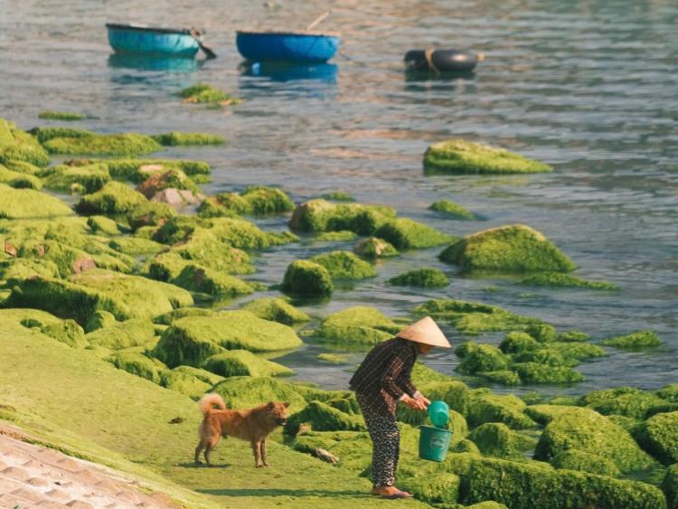 Chậm lại bên Quy Nhơn cảm nhận khoảnh khắc giản dị