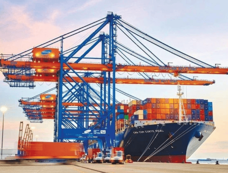 Gemadept khởi đầu 2025 đầy nội lực, nhưng áp lực lợi nhuận ngắn hạn vẫn hiện hữu - 1