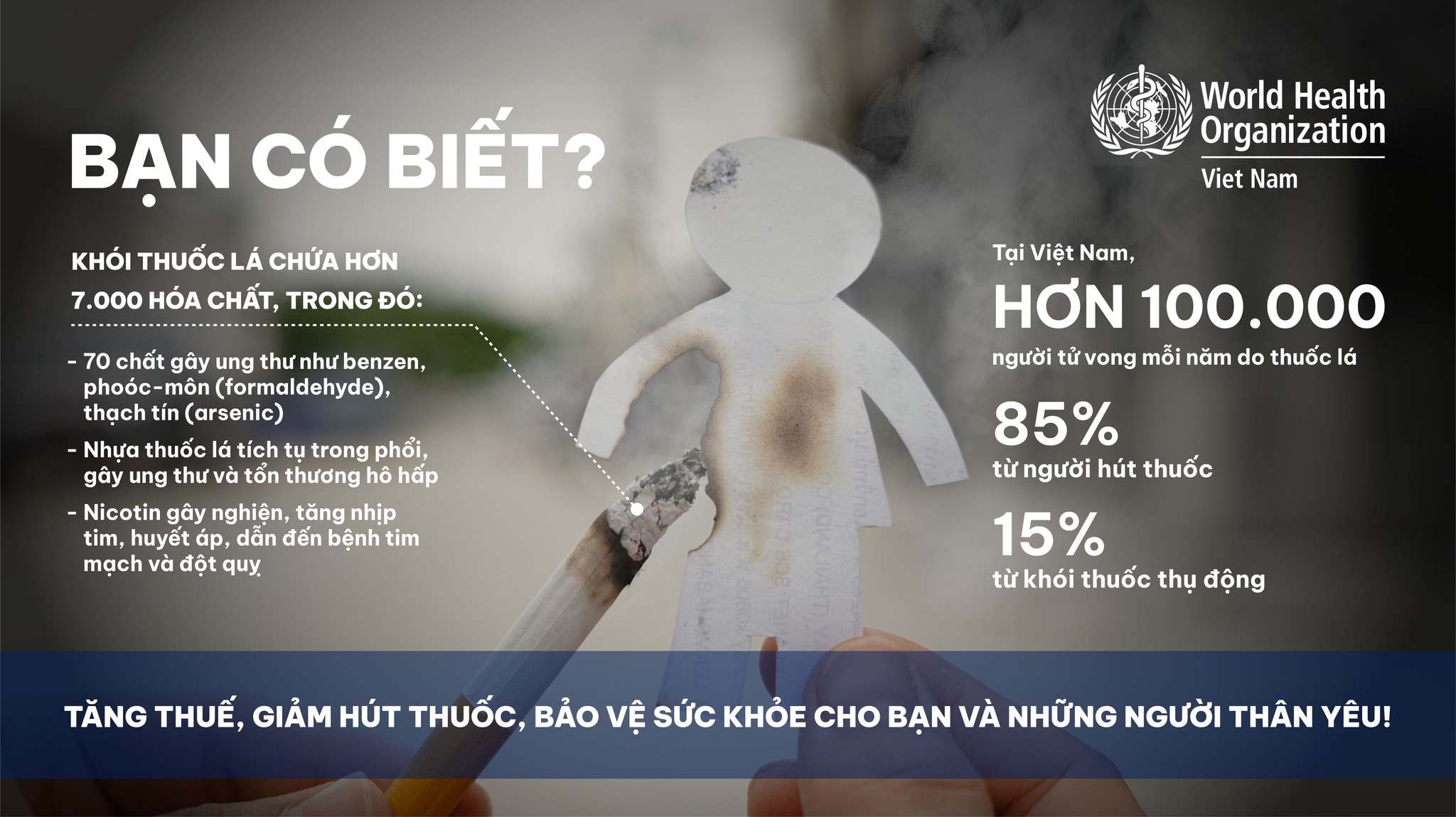 WHO kêu gọi tăng thuế thuốc lá để bảo vệ sức khỏe cộng đồng - 1