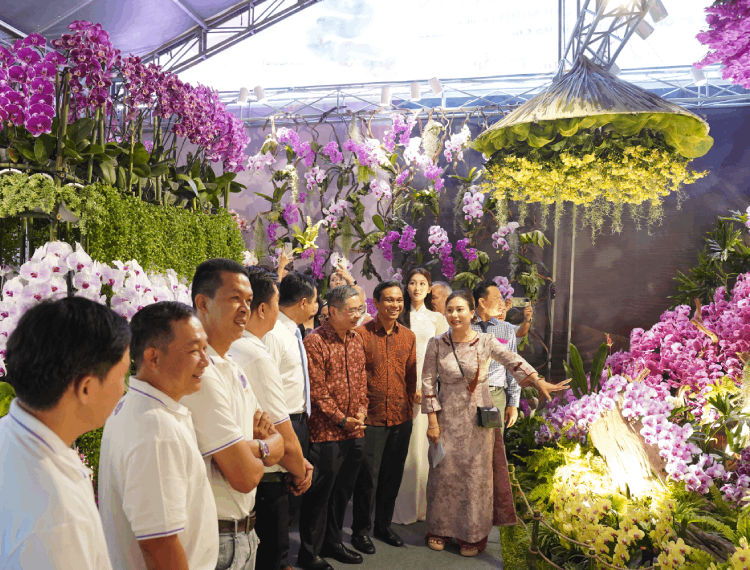 Người dân TP.HCM check-in vườn hoa lan lớn nhất thành phố