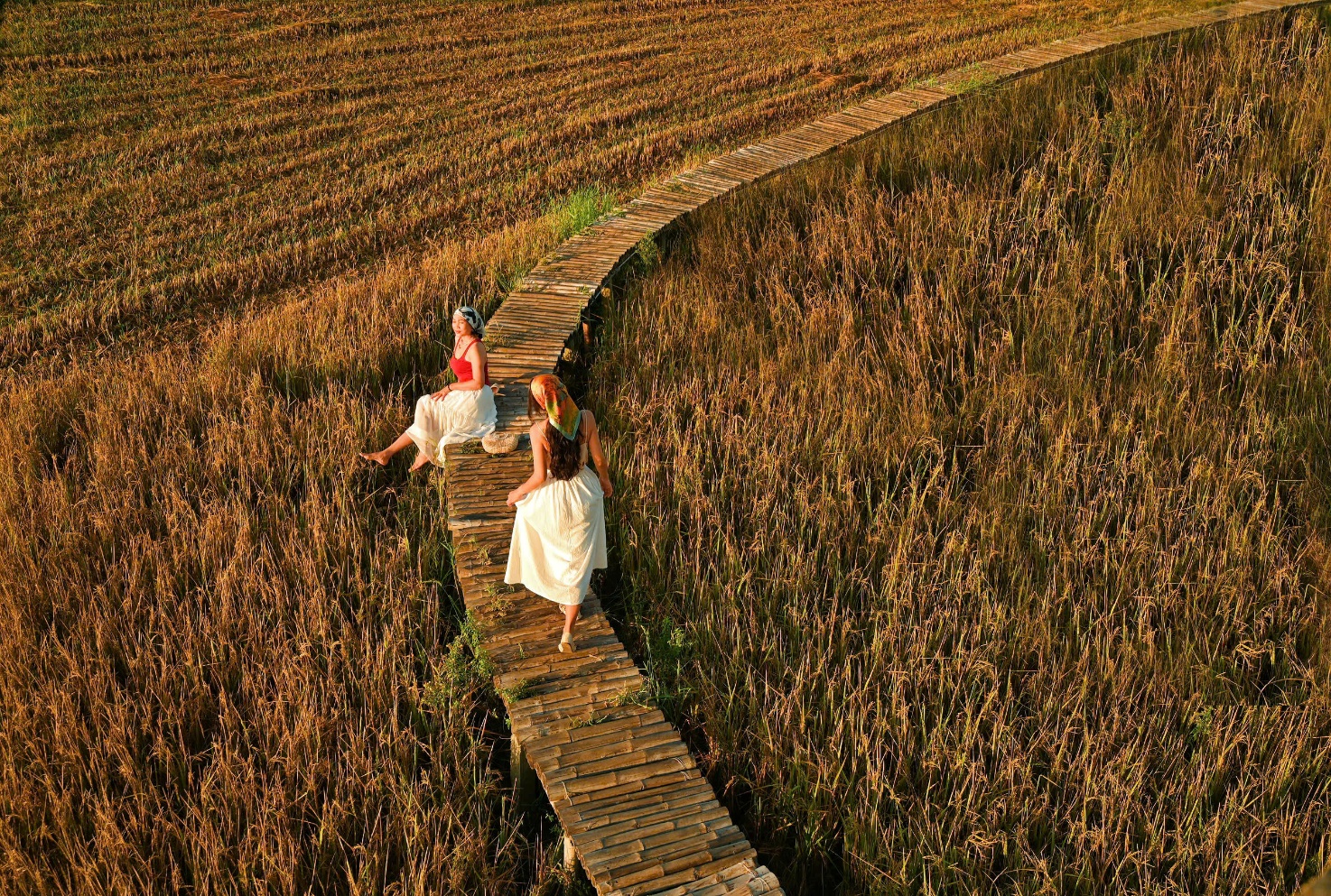 Hai mẹ con vi vu khám phá phố cổ Hội An - 7