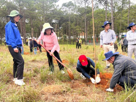  - Lâm Đồng trồng cây nhân kỷ niệm 135 năm Ngày sinh Chủ tịch Hồ Chí Minh