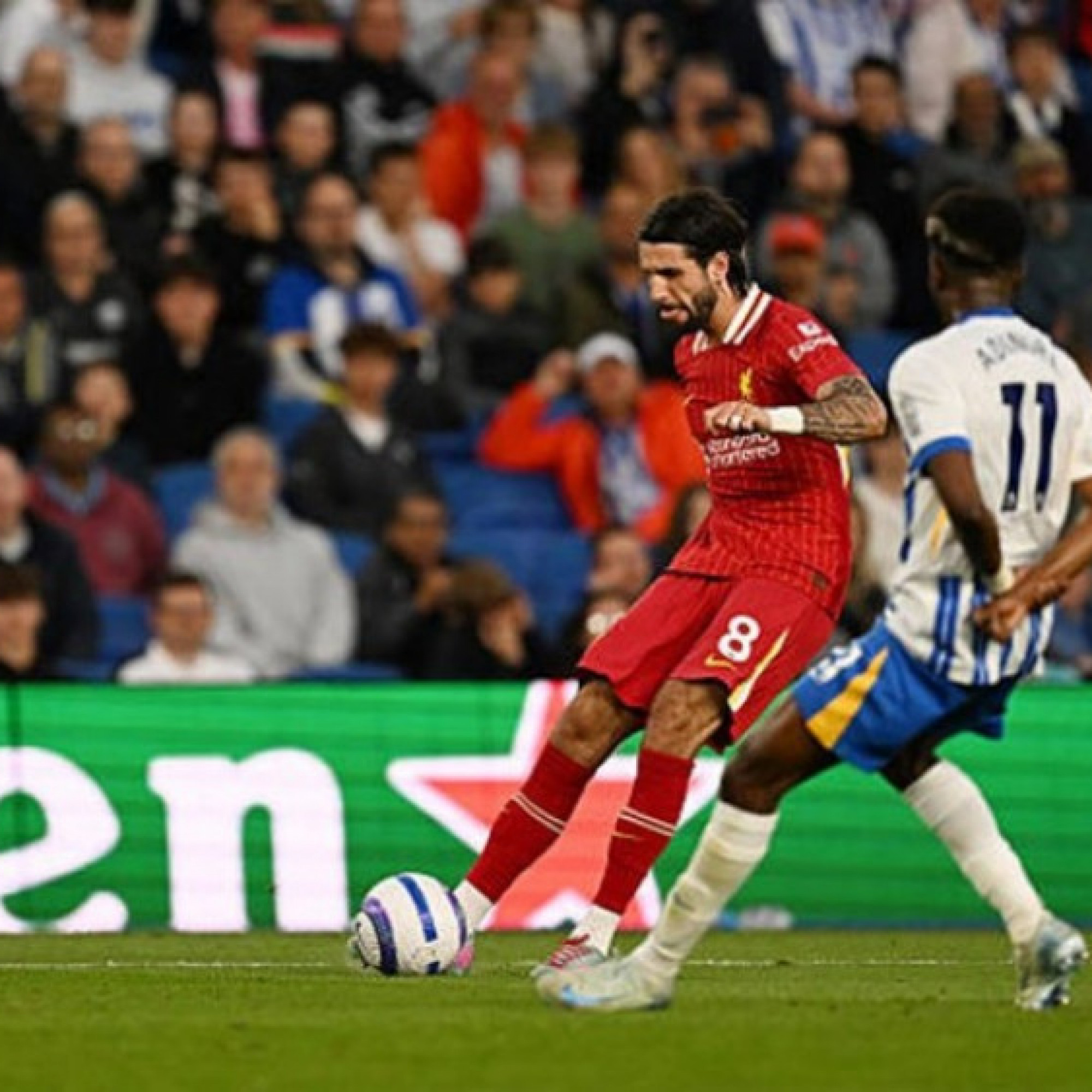  - Video bóng đá Brighton - Liverpool: Bàn thắng không tưởng ấn định hiệp 1 (Ngoại hạng Anh)