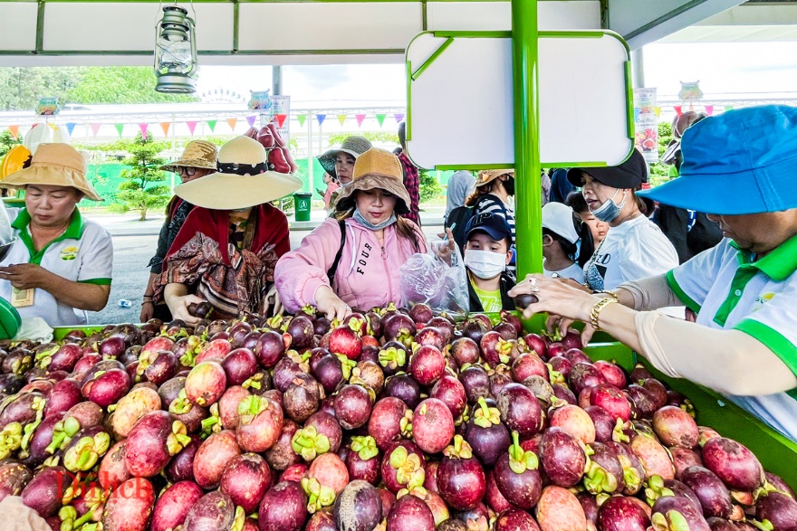 Lễ hội Trái cây Nam Bộ 2025: Nâng tầm nông sản Việt thu hút du khách Hè - 7