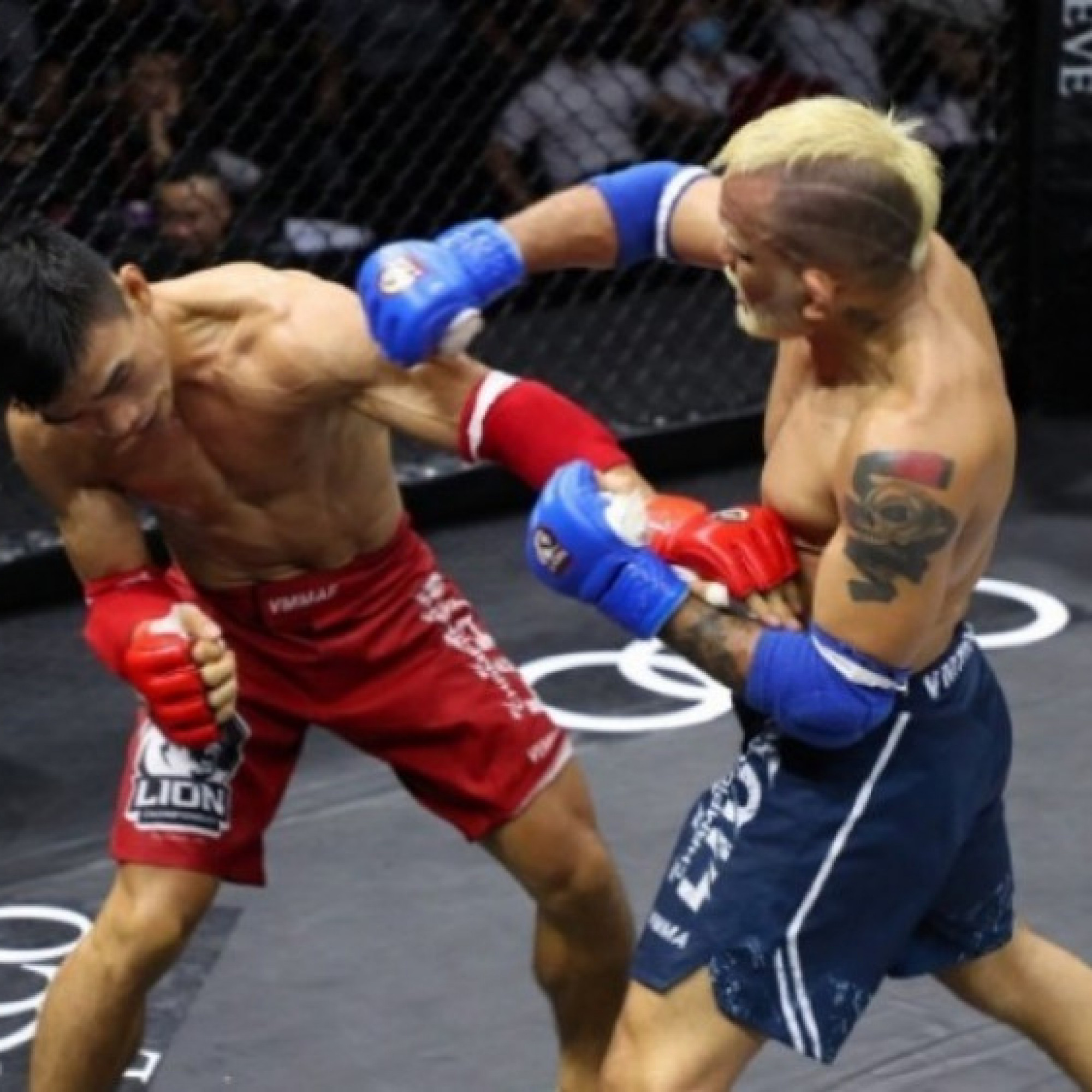  - Robson hủy đấu Ngọc Lượng và trả đai MMA LION, có thể bị phạt 300 triệu đồng