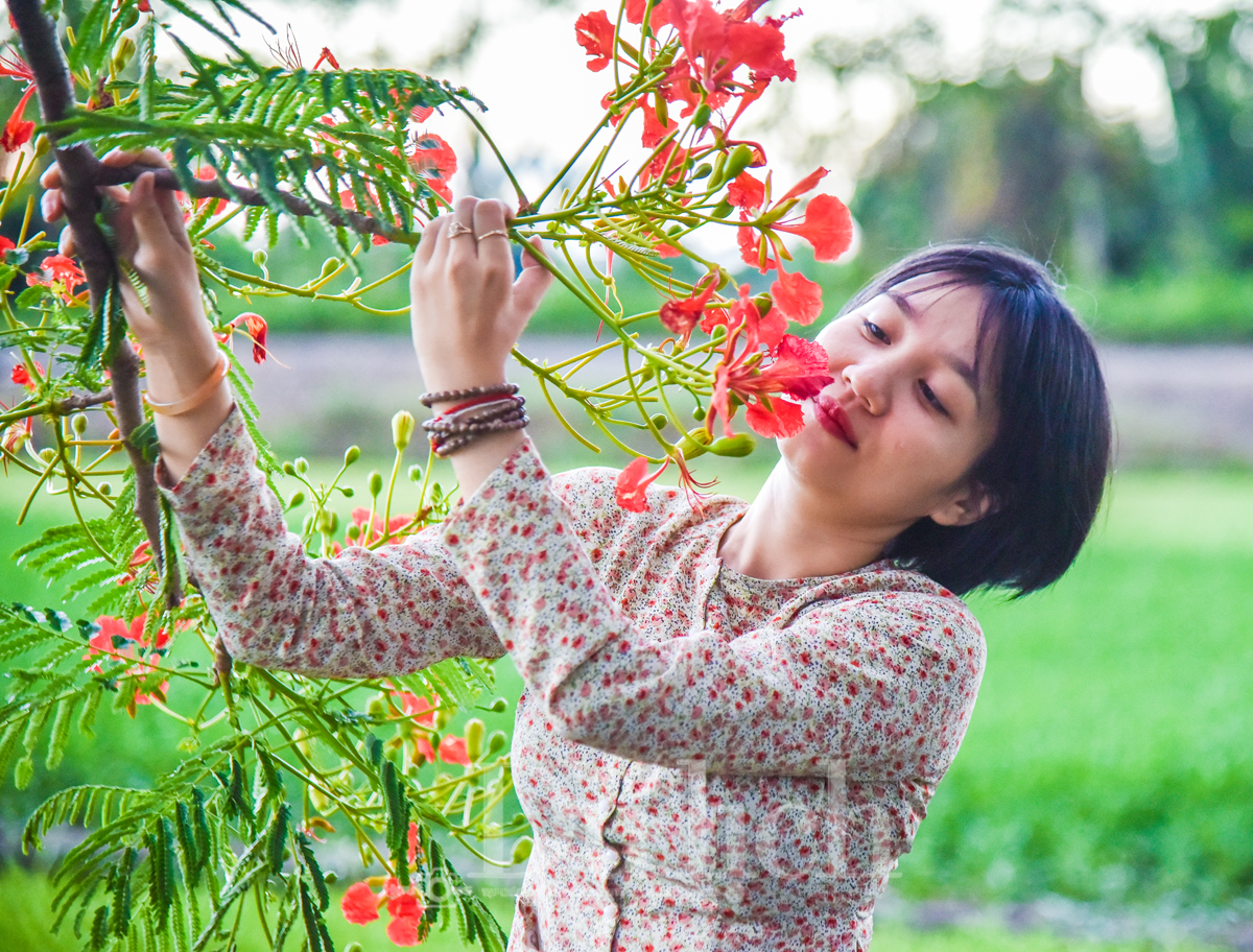 Độc đáo món gỏi hoa phượng mênh mang nỗi nhớ miền quê ngoại - 3