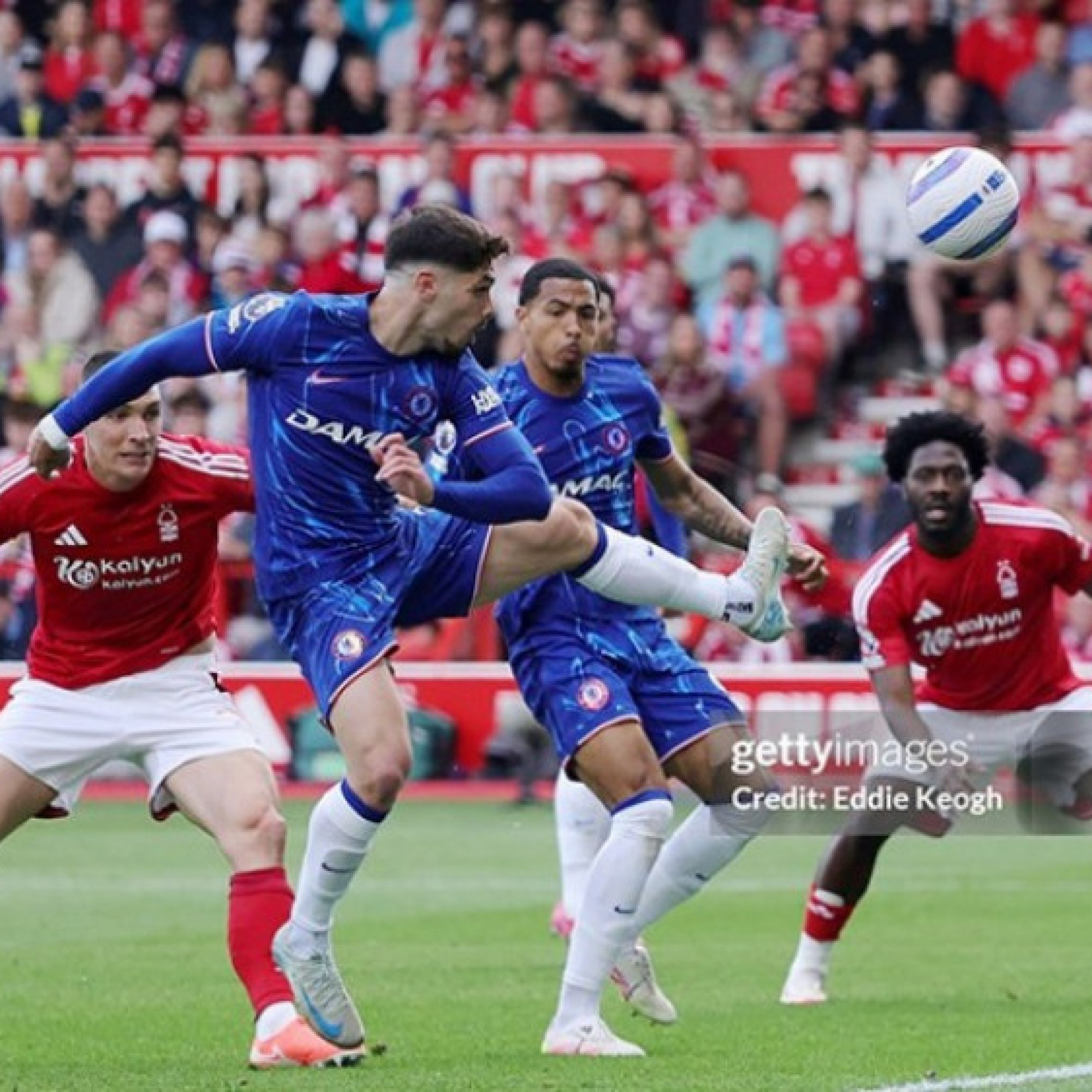  - Video bóng đá Nottingham Forest - Chelsea: Bỏ lỡ khó tin (Ngoại hạng Anh)