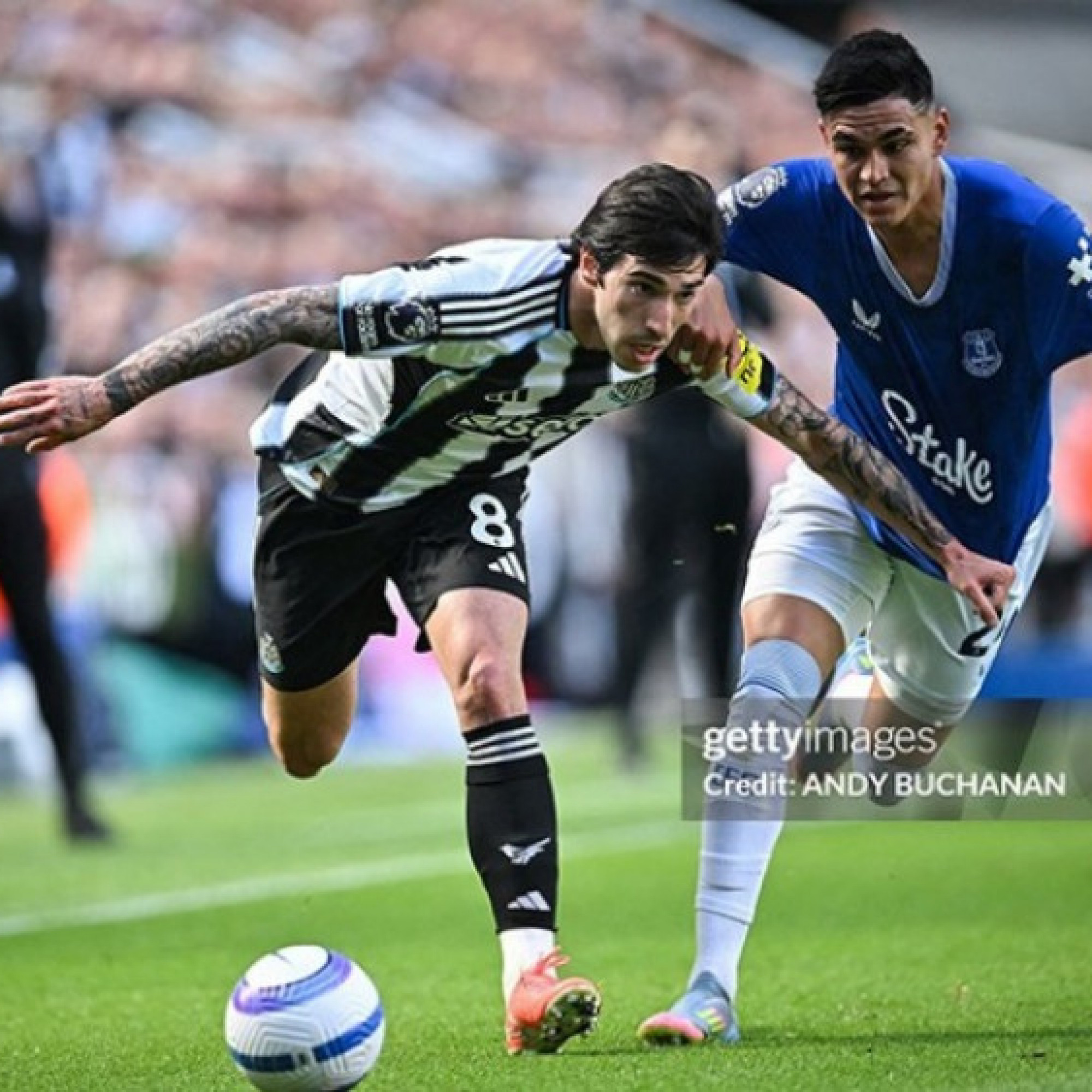  - Video bóng đá Newcastle - Everton: Đoạt vé Cúp C1 kịch tính (Ngoại hạng Anh)