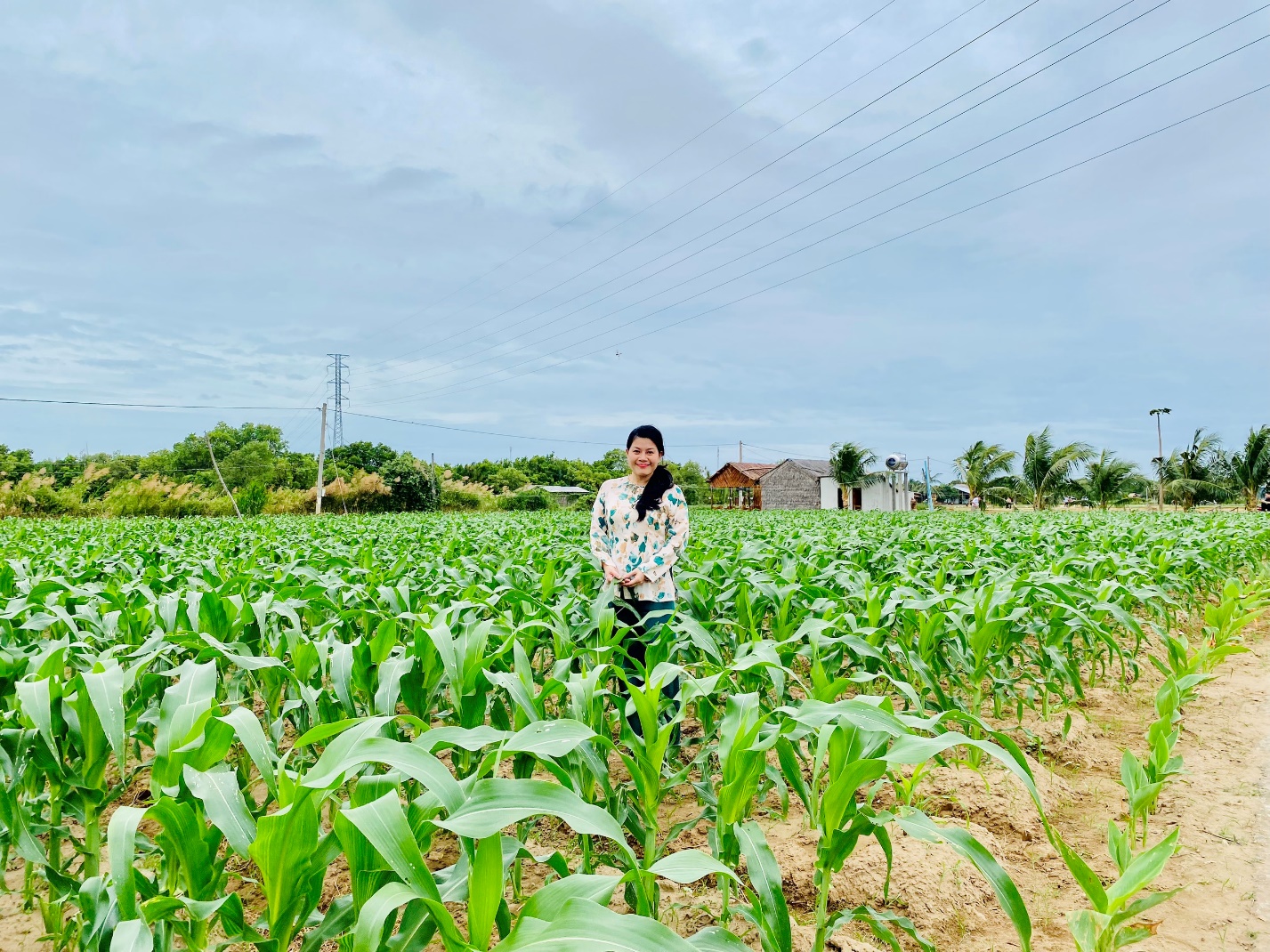 PGS.TS Phan An: Người đặt nền móng phát triển du lịch cộng đồng ở Trà Vinh - 4