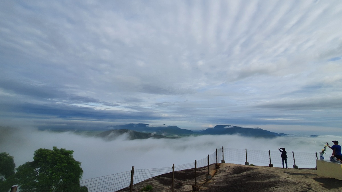 'san' may o an giang: khi mien tay tro minh trong suong som - 9