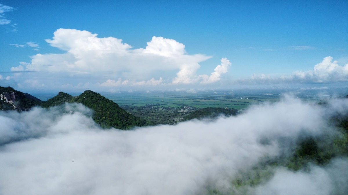 'san' may o an giang: khi mien tay tro minh trong suong som - 5