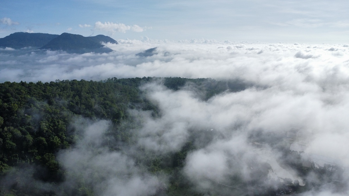 'san' may o an giang: khi mien tay tro minh trong suong som - 6