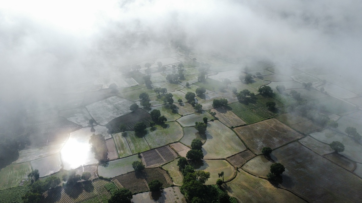 'san' may o an giang: khi mien tay tro minh trong suong som - 3