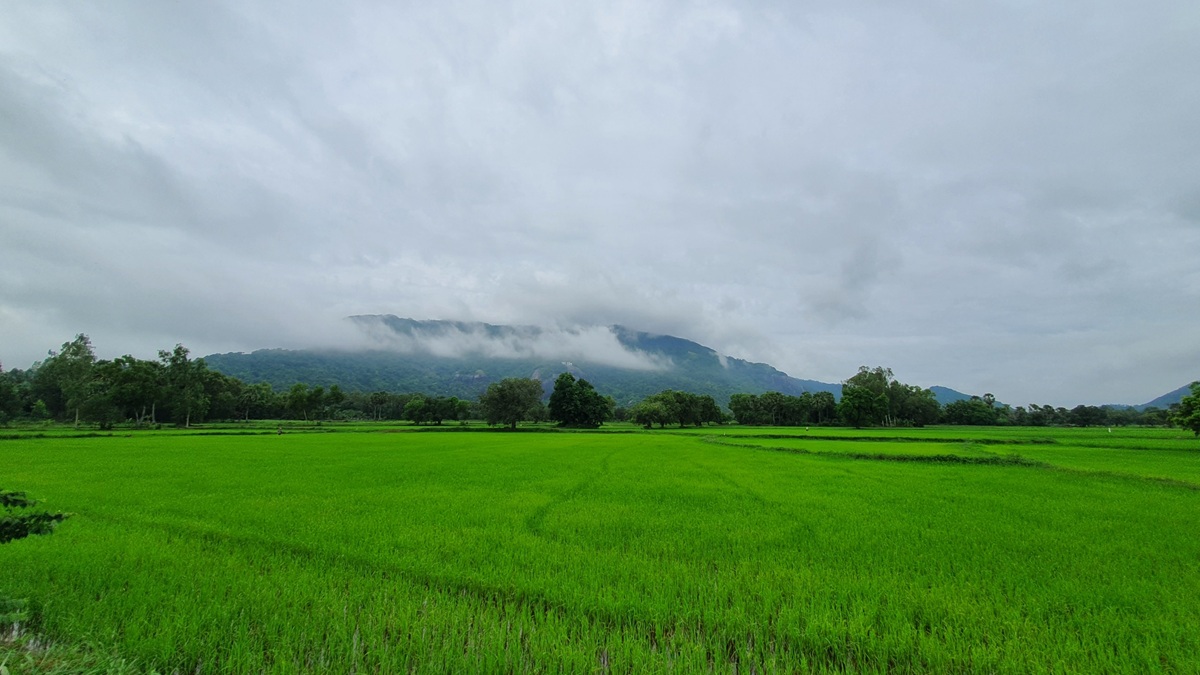 'san' may o an giang: khi mien tay tro minh trong suong som - 11