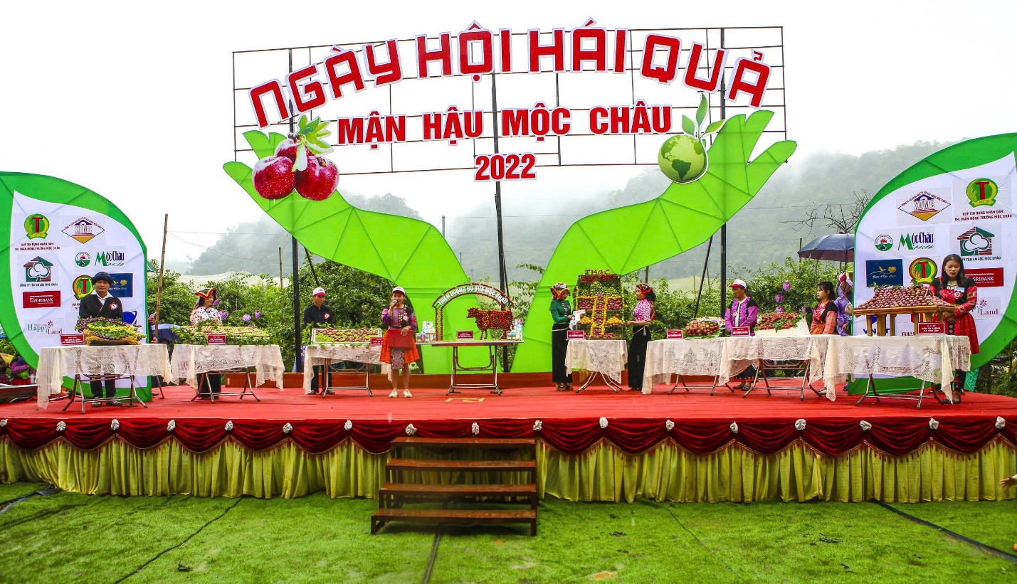 Tham gia ‘Ngày hội hái quả’ độc đáo ở thung lũng mận Nà Ka - 2