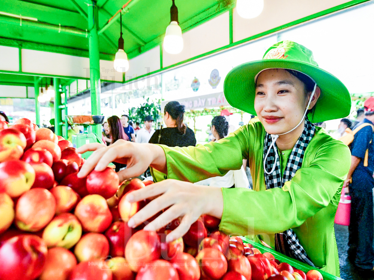 Gần 3 vạn du khách trong ngày đầu khai mạc Lễ hội trái cây Nam bộ - 1