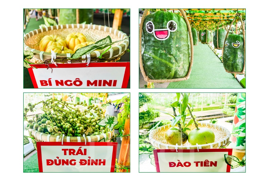 Gần 3 vạn du khách trong ngày đầu khai mạc Lễ hội trái cây Nam bộ - 8