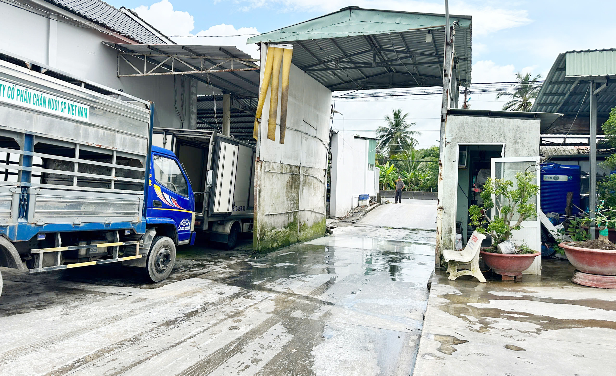 Đoàn liên ngành tỉnh Hậu Giang kiểm tra lò giết mổ tại huyện Phụng Hiệp - 2