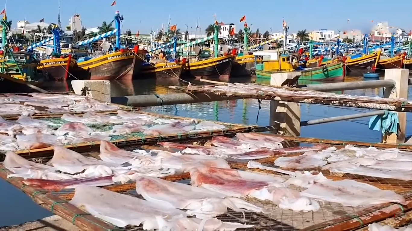 Điều gì làm nên mực một nắng Phan Thiết ngon nhất thế giới? - 3