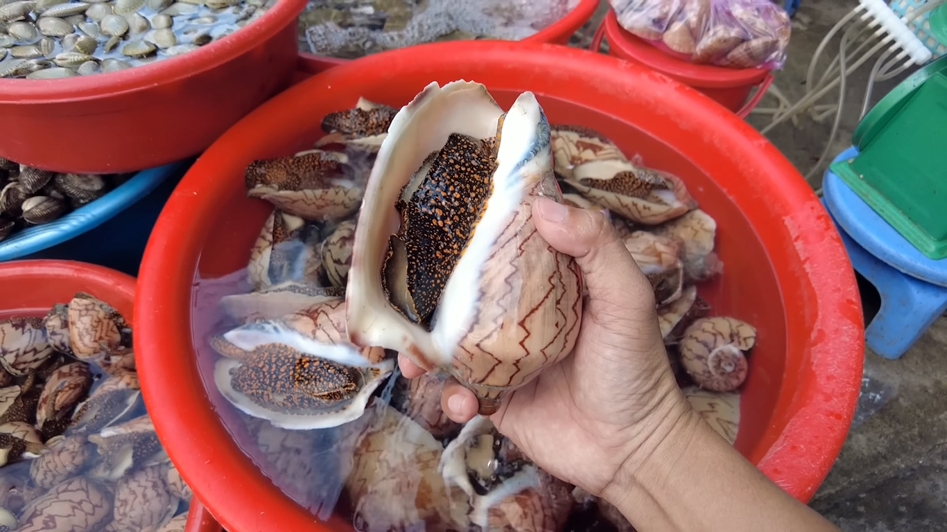 Điều gì làm nên mực một nắng Phan Thiết ngon nhất thế giới? - 5