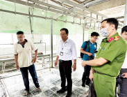 Đoàn liên ngành tỉnh Hậu Giang kiểm tra lò giết mổ tại huyện Phụng Hiệp