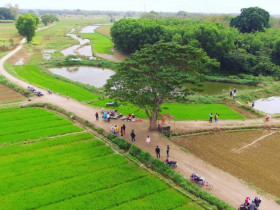  - Về Huế, thăm lại "cây cô đơn": Nỗi nhớ hóa hoài niệm