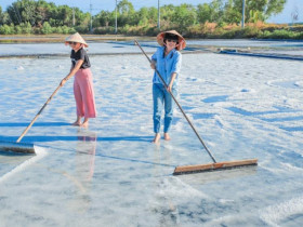  - TP.HCM thúc đẩy du lịch gắn với nghề muối tại huyện Cần Giờ