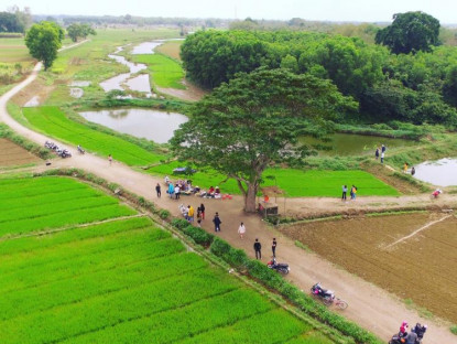  - Về Huế, thăm lại "cây cô đơn": Nỗi nhớ hóa hoài niệm