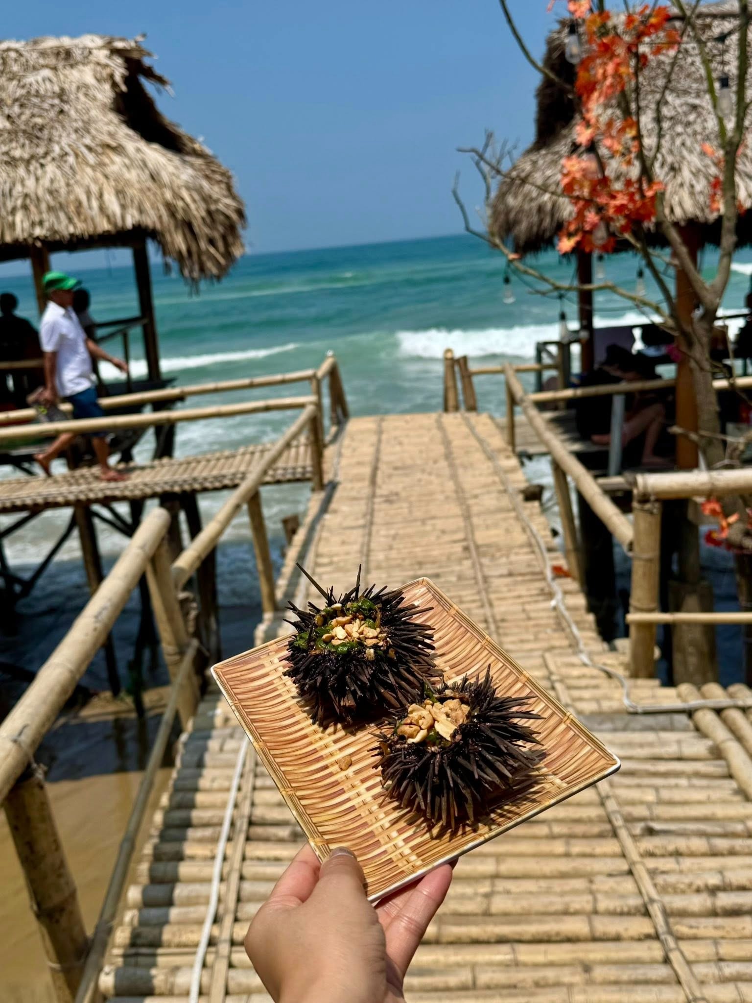 Nữ du khách phượt ô tô từ Hà Nội vào Huế - 3