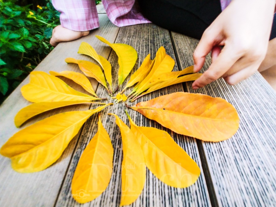 Sắc Lộc Vừng thắm đỏ: Bản du ca hoài niệm của thời gian và ký ức - 7