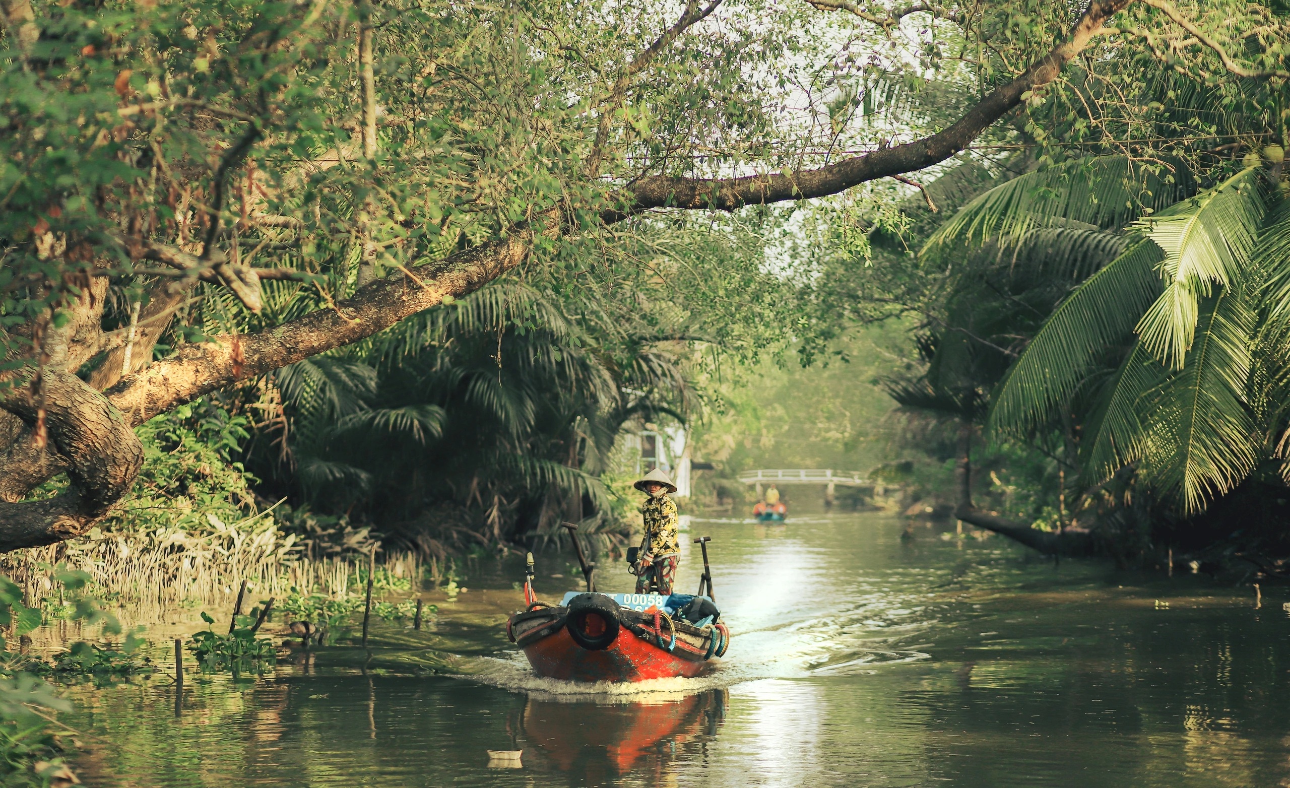Tháng 6 thành phố vào mưa, có gì hơn nồi lẩu cá kèo? - 1
